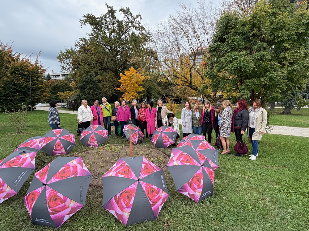 SI Rose an der Donaulände Linz